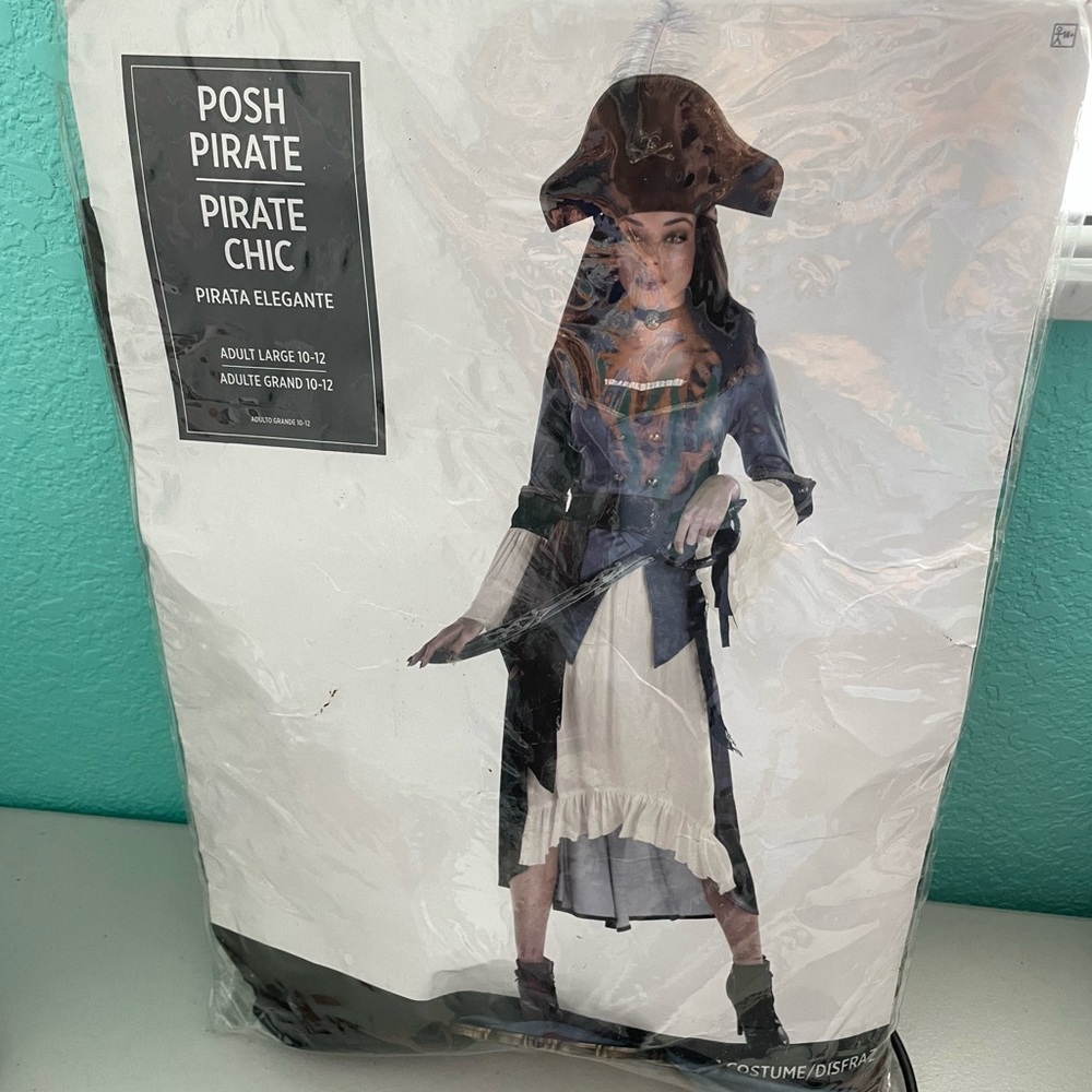 Posh Pirate/Pirate Chic Adult Large 10-12 Halloween Costume Dress Hat Choker NEW